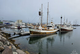 Iceland (28/74)